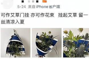 新利网网址截图4